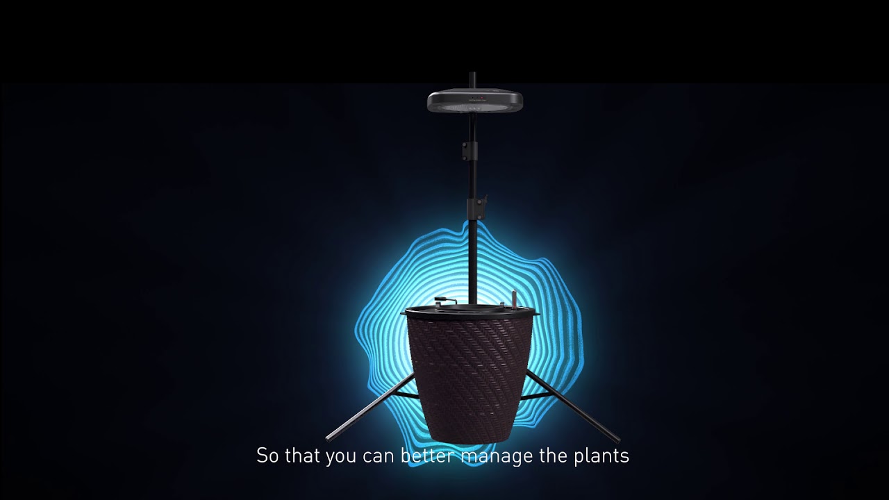 cannabis hydroponic growpot