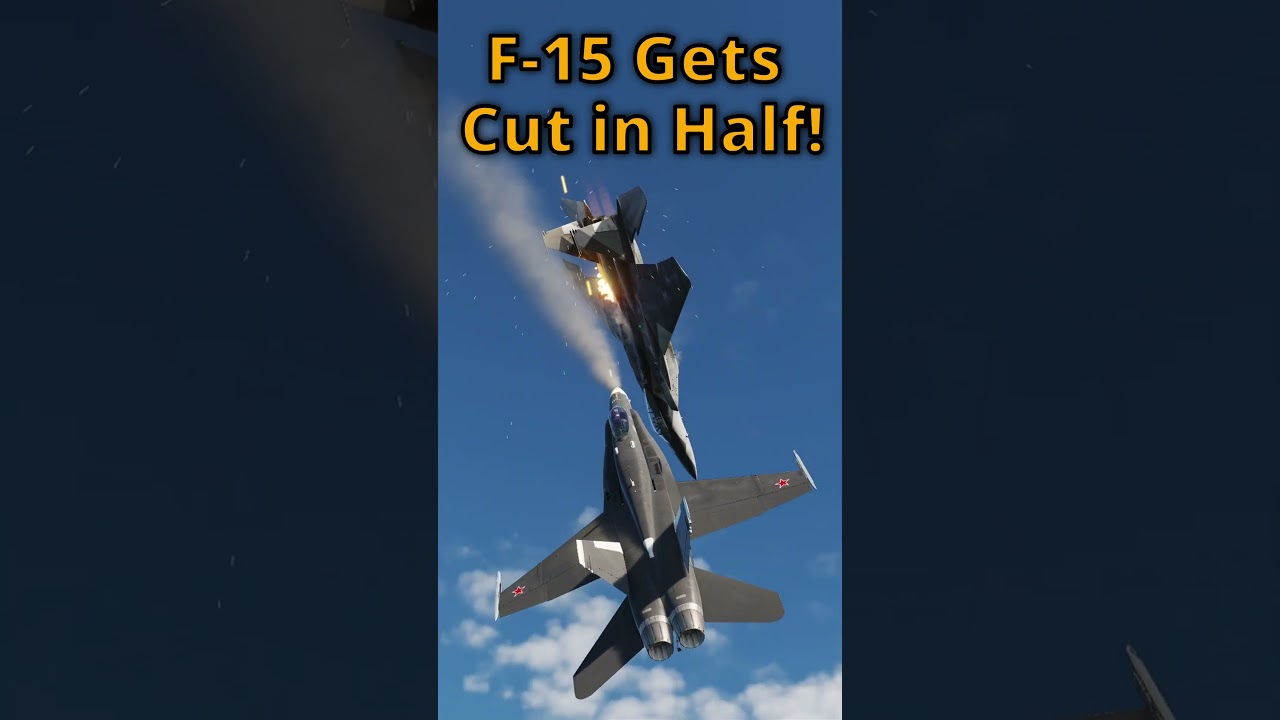 F-15 Sawn in Half by F/A-18 Hornet #dcs #dogfight  #fighterjet