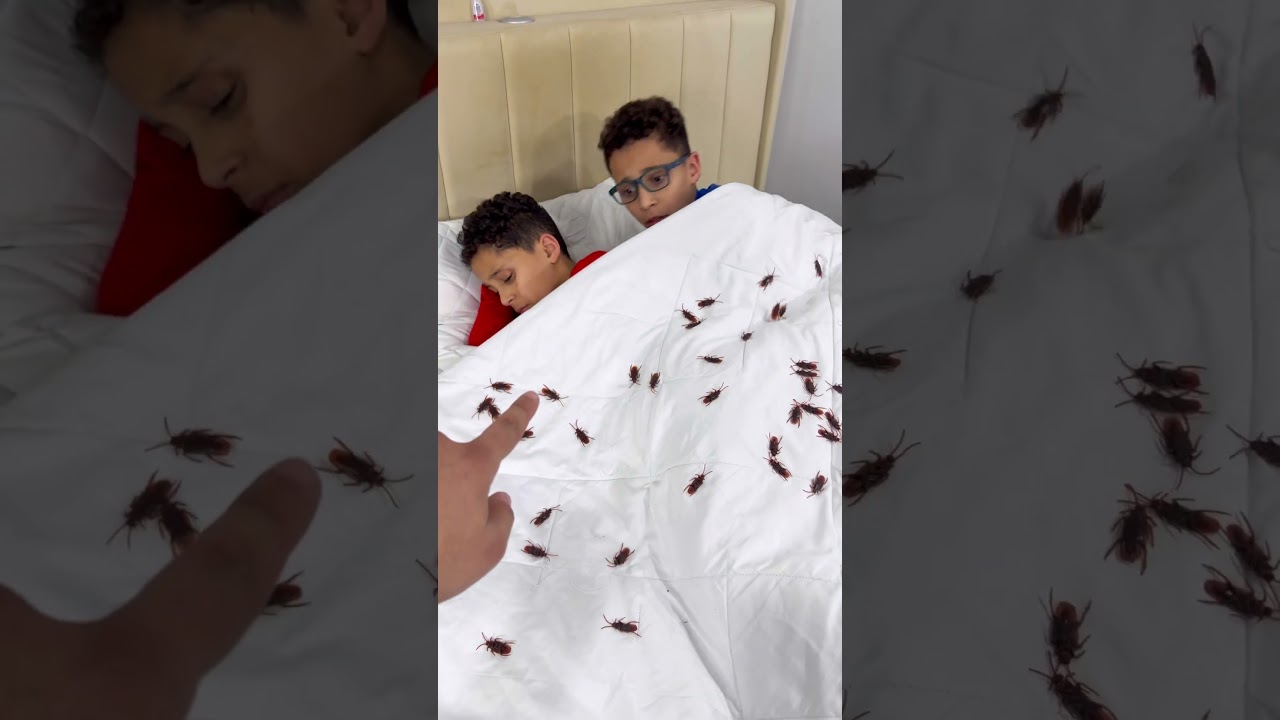Fake Roach Prank On My Brothers 🤣 #shorts