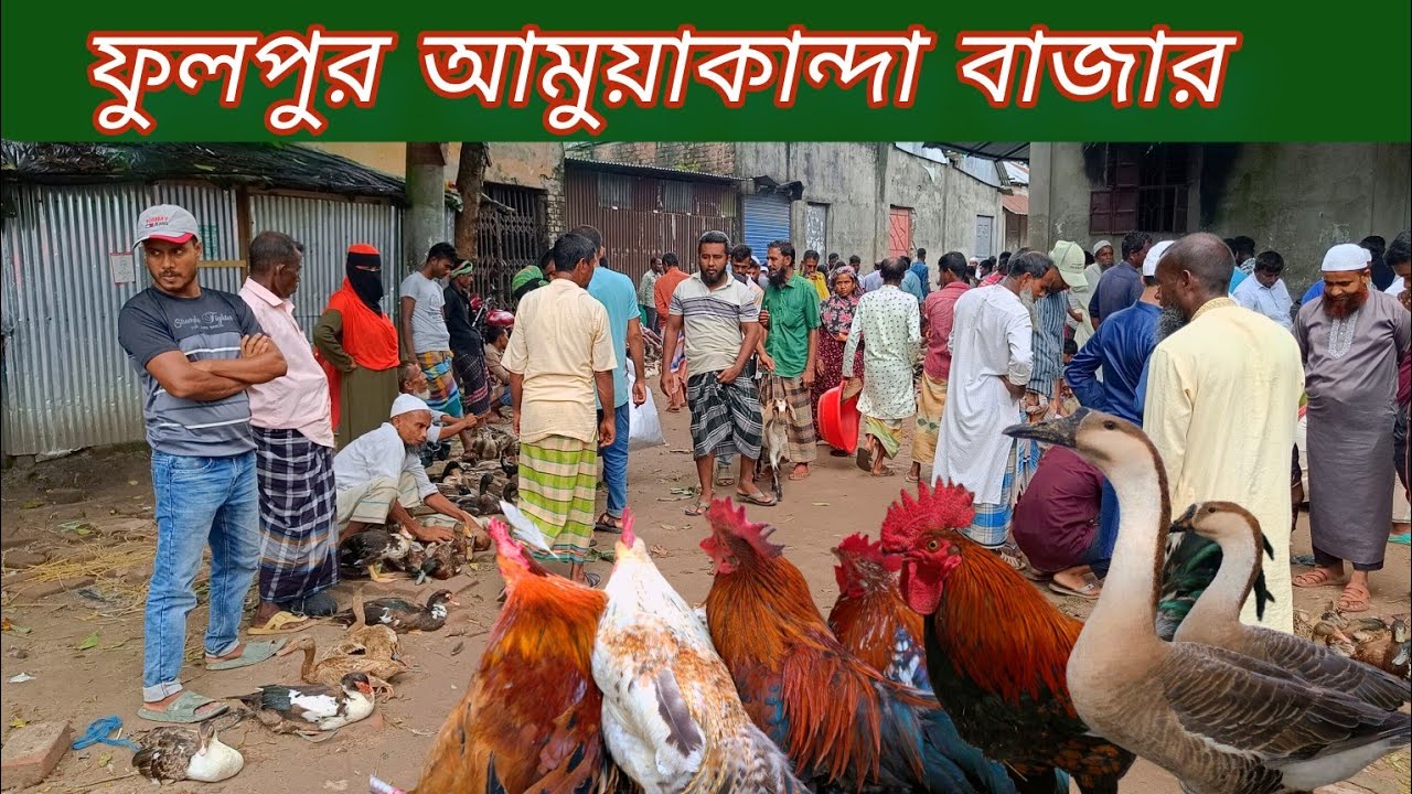 ঐতিহ্যবাহী দেশীয় হাঁস মুরগির হাট,ফুলপুর আমুয়াকান্দা বাজার।