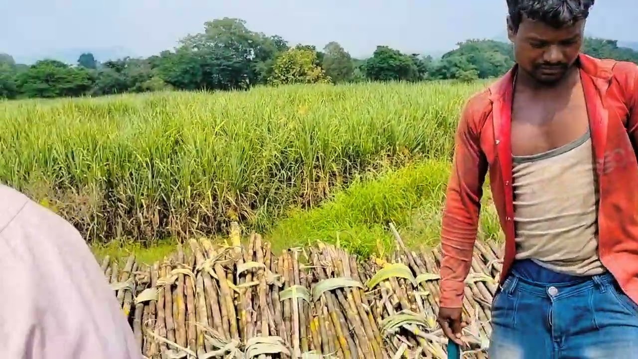 mala lambad mukad dam