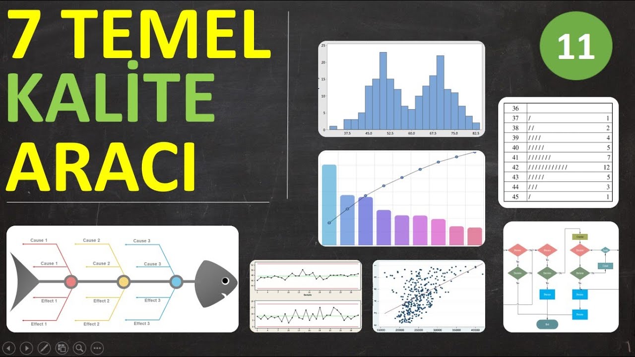 7 Temel Kalite Aracı _ Balık Kılçığı Analizi Nedir ?