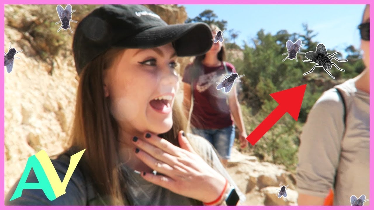 Attack of the Flies?! Senior Road Trip with Friends! / Aud Vlogs