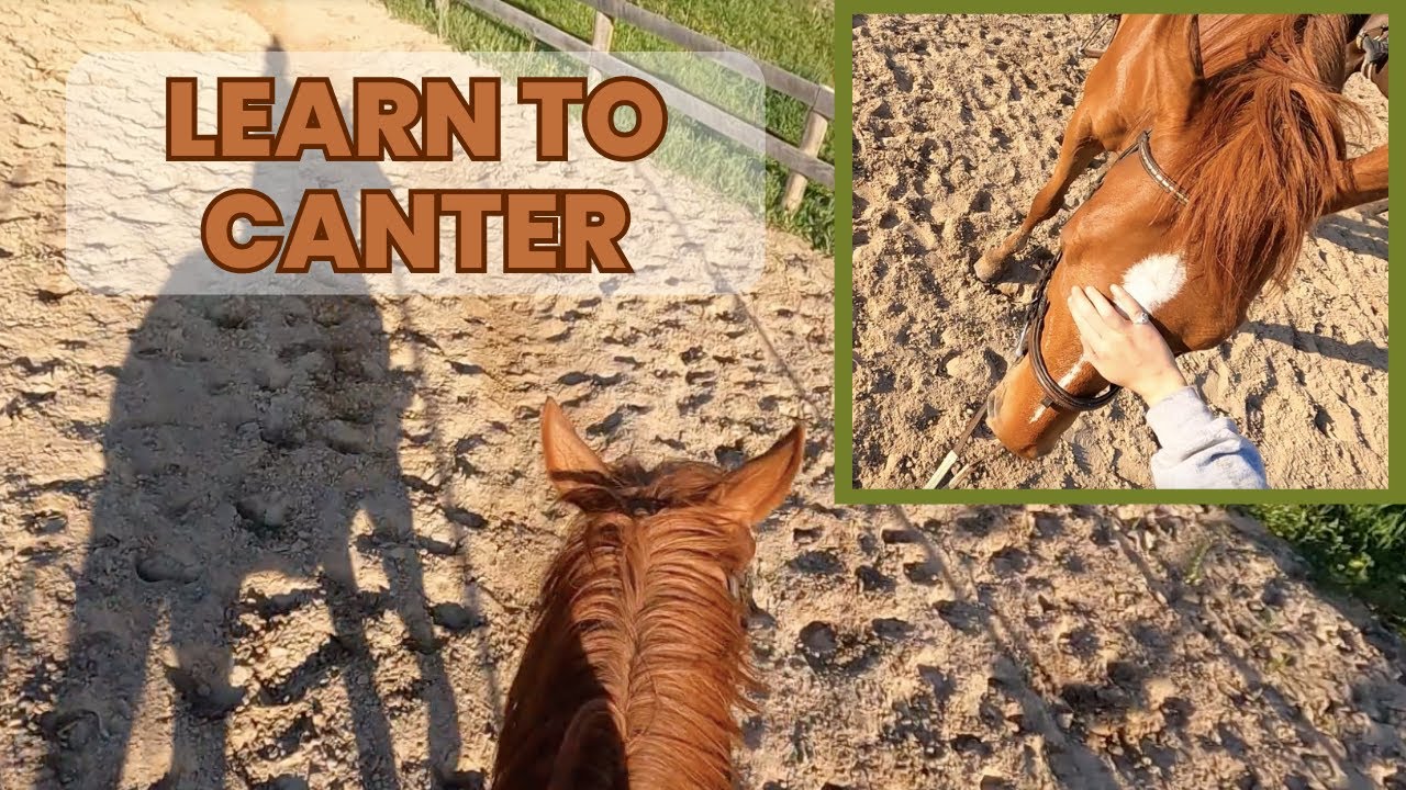 LEARN TO CANTER - GOPRO TACK UP AND RIDE