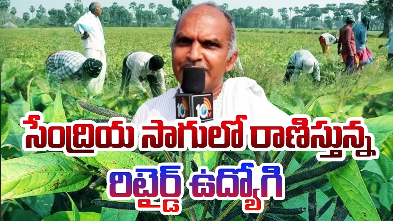 Retired Employee Excels in Organic Farming | సేంద్రియ సాగులో రాణిస్తున్న రిటైర్డ్ ఉద్యోగి | 10TV