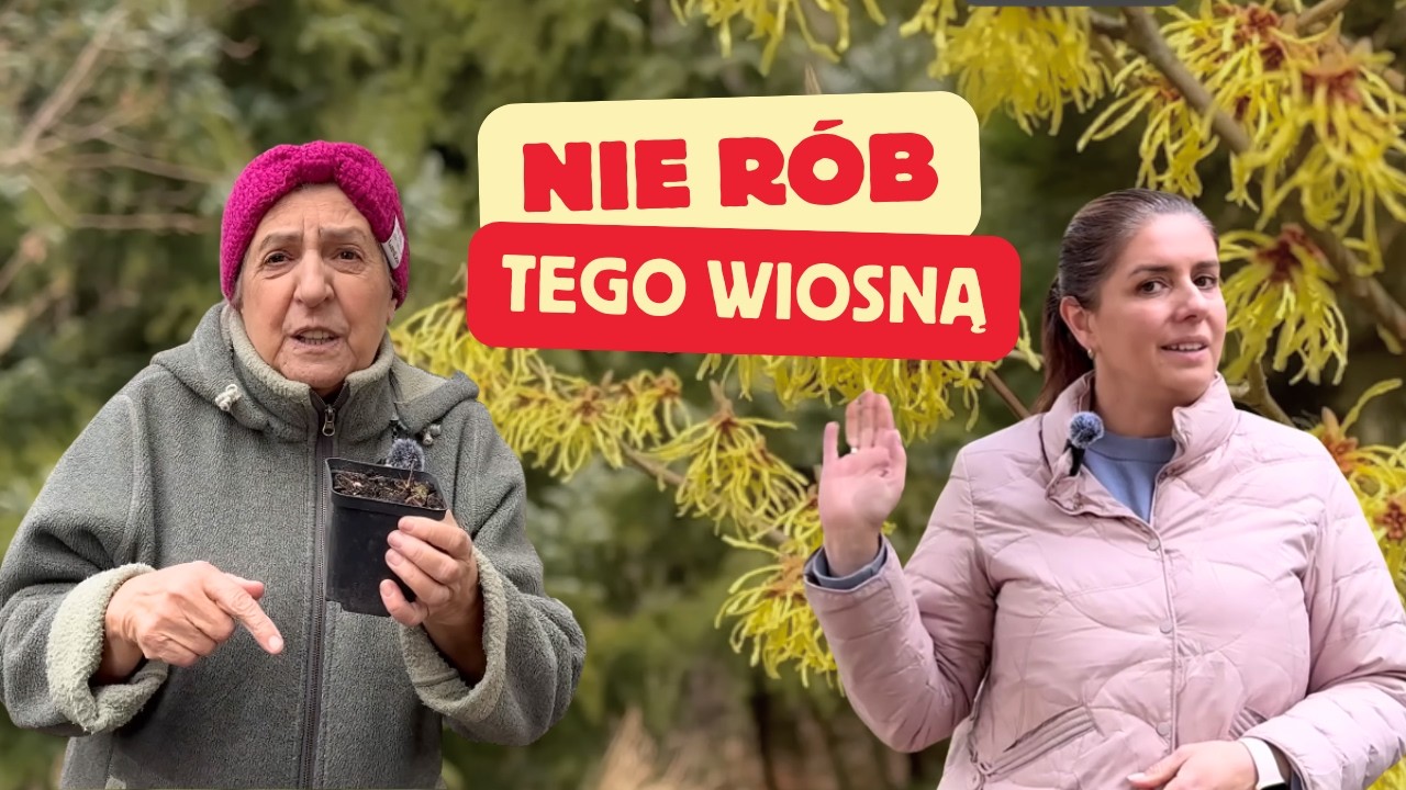 7 najczęstszych błęd&oacute;w ogrodnik&oacute;w wiosną &ndash; czego nie robić w ogrodzie!