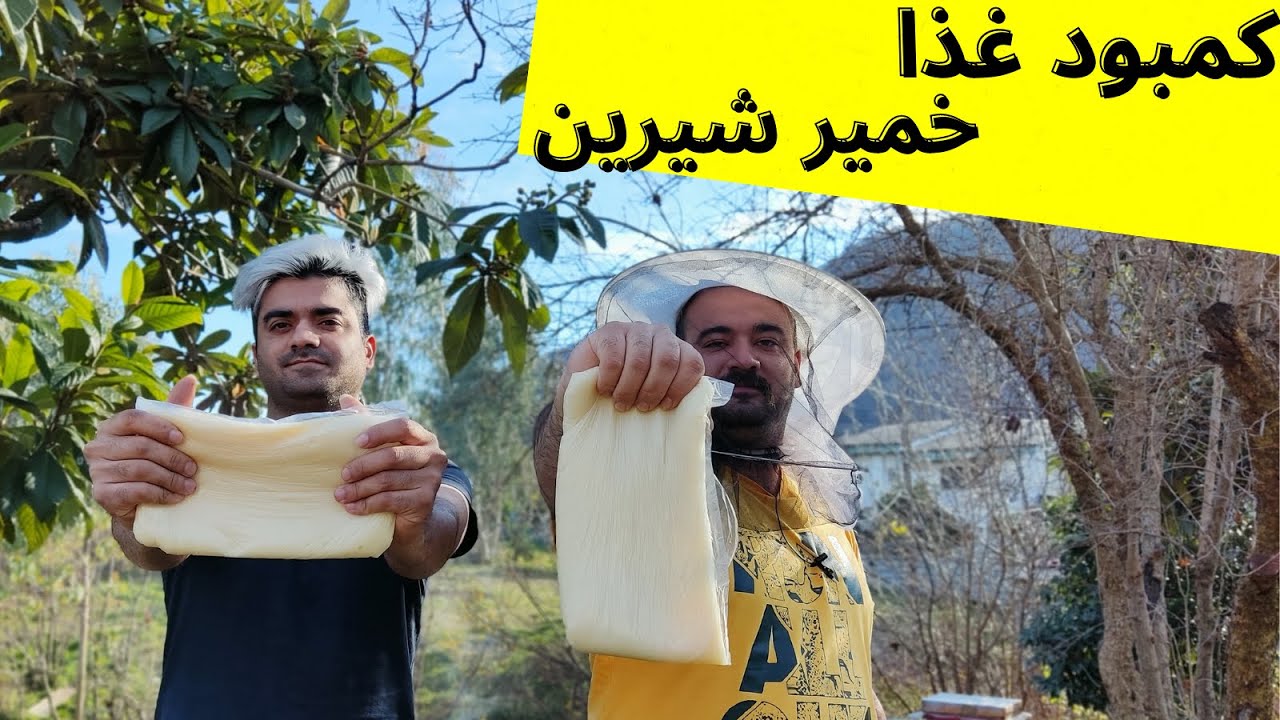 آموزش زنبوردای : خمیر شیرین جایگزین کمبود غذا