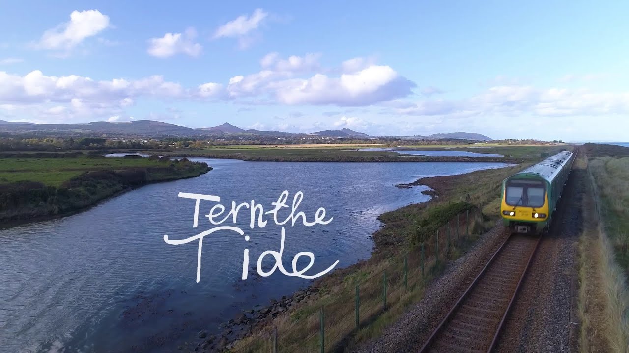 Tern the Tide: New art installation celebrates Ireland's largest little tern colony at Kilcoole