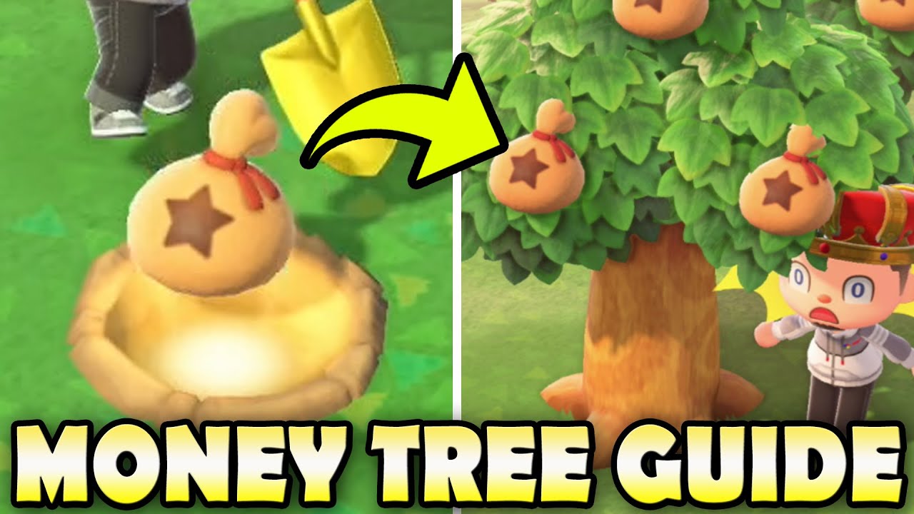 💰 The TRUTH About MONEY TREES + Myth Busting In Animal Crossing New Horizons