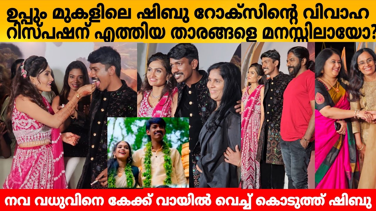 ഉപ്പും മുകളിലെ ഷിബു റോക്സിന്റെ വിവാഹ റിസ്പഷന് എത്തിയ ഉപ്പും മുളകും താരങ്ങളെ മനസ്സിലായോ? SHIBU ROCKZ