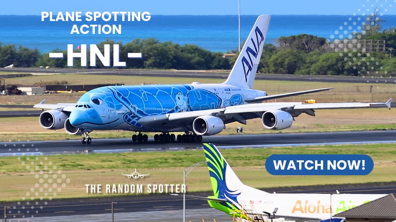 [4K] ✈️ Rainy HNL Plane Spotting | A380 Honu from Japan & Massive 747 Departures