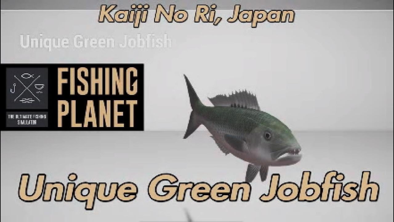 Unique Green Jobfish Kaiji No Ri Japan Fishing Planet Guide