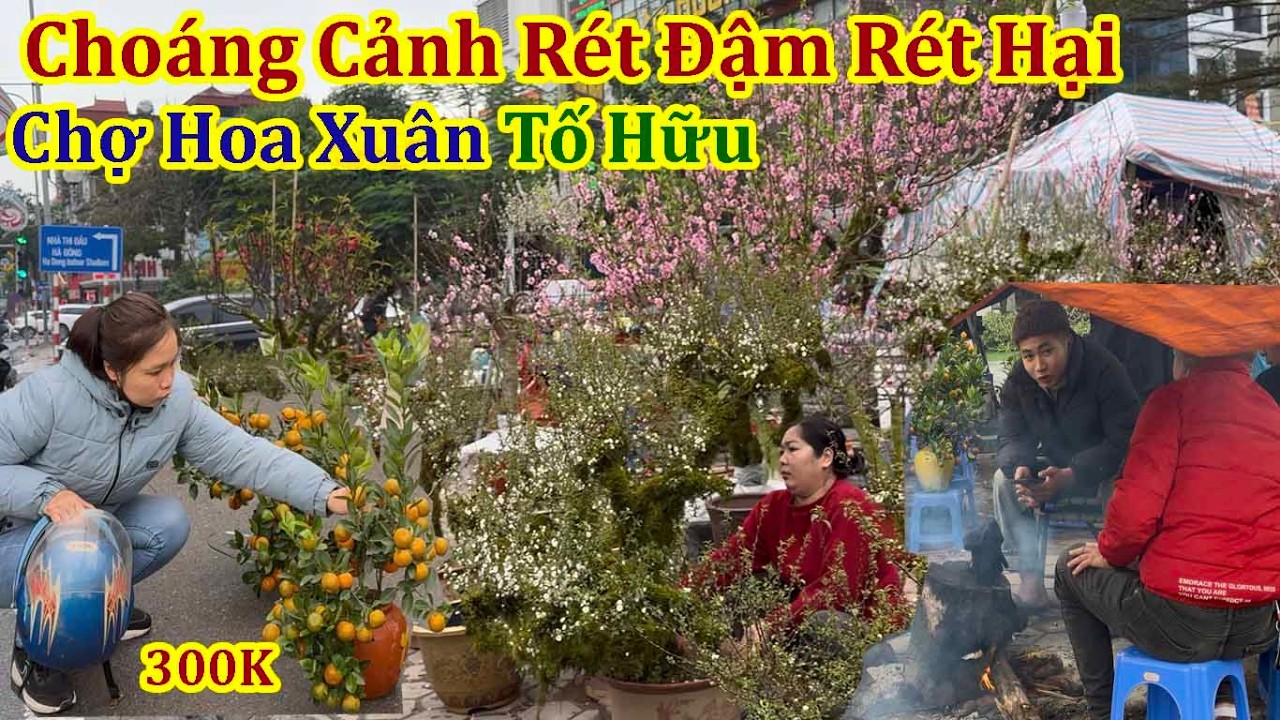 Choáng Cảnh Kinh Doanh Hoa Tết Ế Thê Thảm Dưới Chiều Đông Giá Buốt