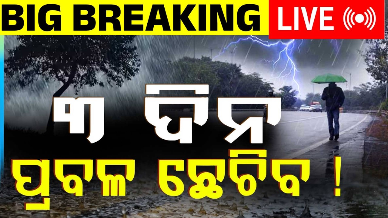 🔴Live | ଆସୁଛି ବଡ଼ ବର୍ଷା...ସାବଧାନ...| Odisha Rain Update | Weather Update | Odisha | Argus News