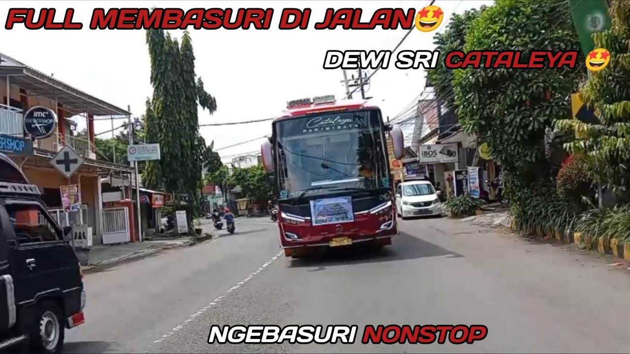 NGOYOD DEWI SRI CATALEYA FULL NGEBASURI NONSTOP 🤩#busmaniacomunity #basuri 