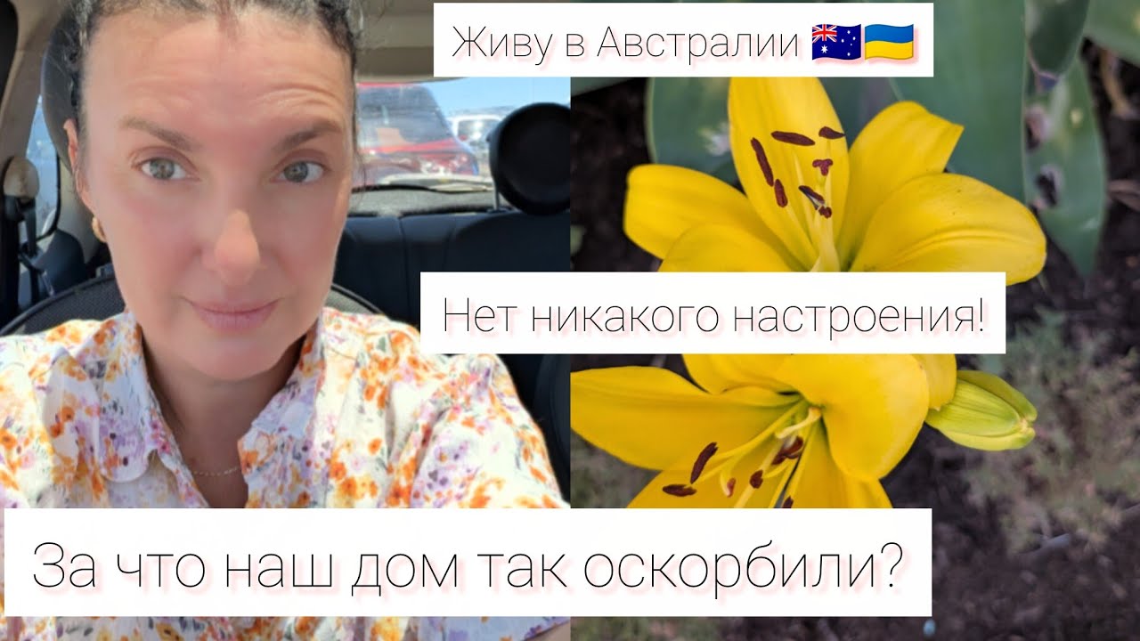 Живу в Австралии 🇺🇦🇦🇺 Никакого настроения перед праздниками Новое расстройство из -за дома #україна 