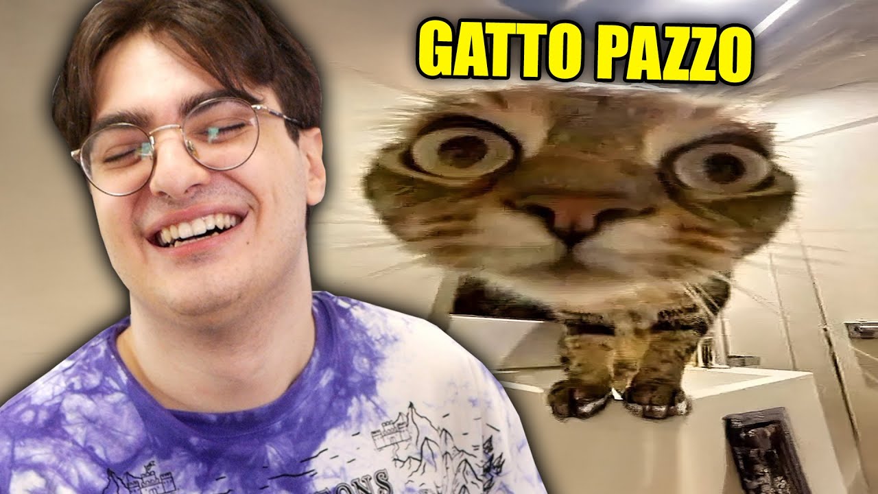 PROVA A NON RIDERE CON I GATTI CON LE VITE REACTION!