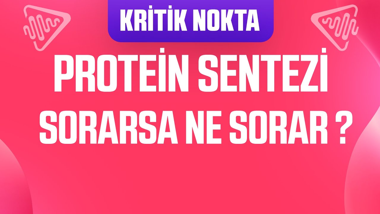 Protein Sentezi ile ilgili SORARSA NE SORAR ?