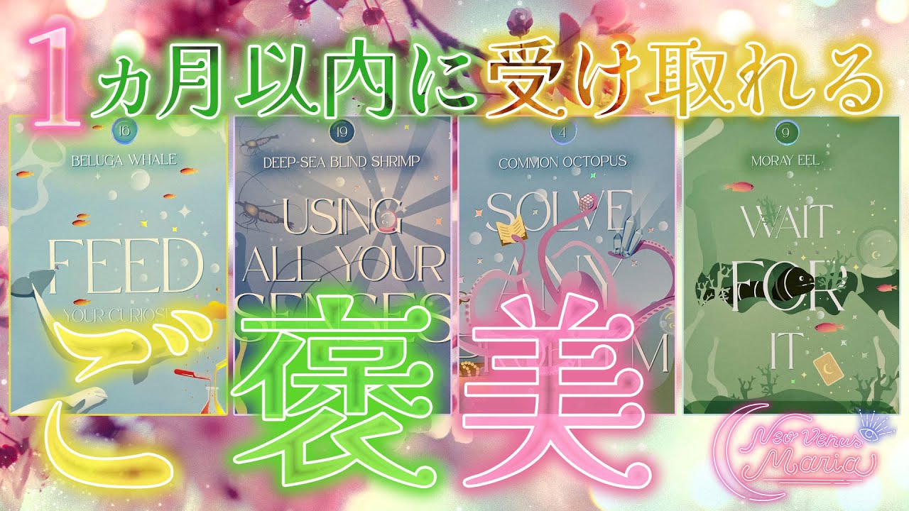 神通り越して仏展開😂🙏  1ヶ月以内にあなたにやってくるご褒美🎁✨ 日々頑張る私たちに至高の報いを⚡️💕