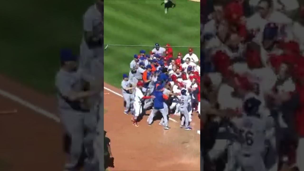 Mets vs cardinals bench brawl #mlb #baseball #fight #viral #ufc #boxing #youtubeshorts #shorts