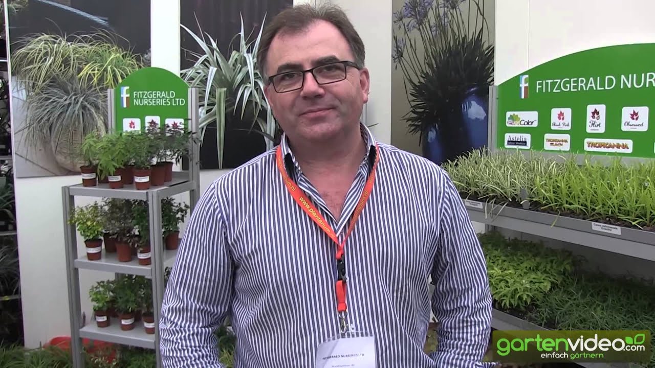 Herr der Primeln - Patrick Fitzgerald im Interview