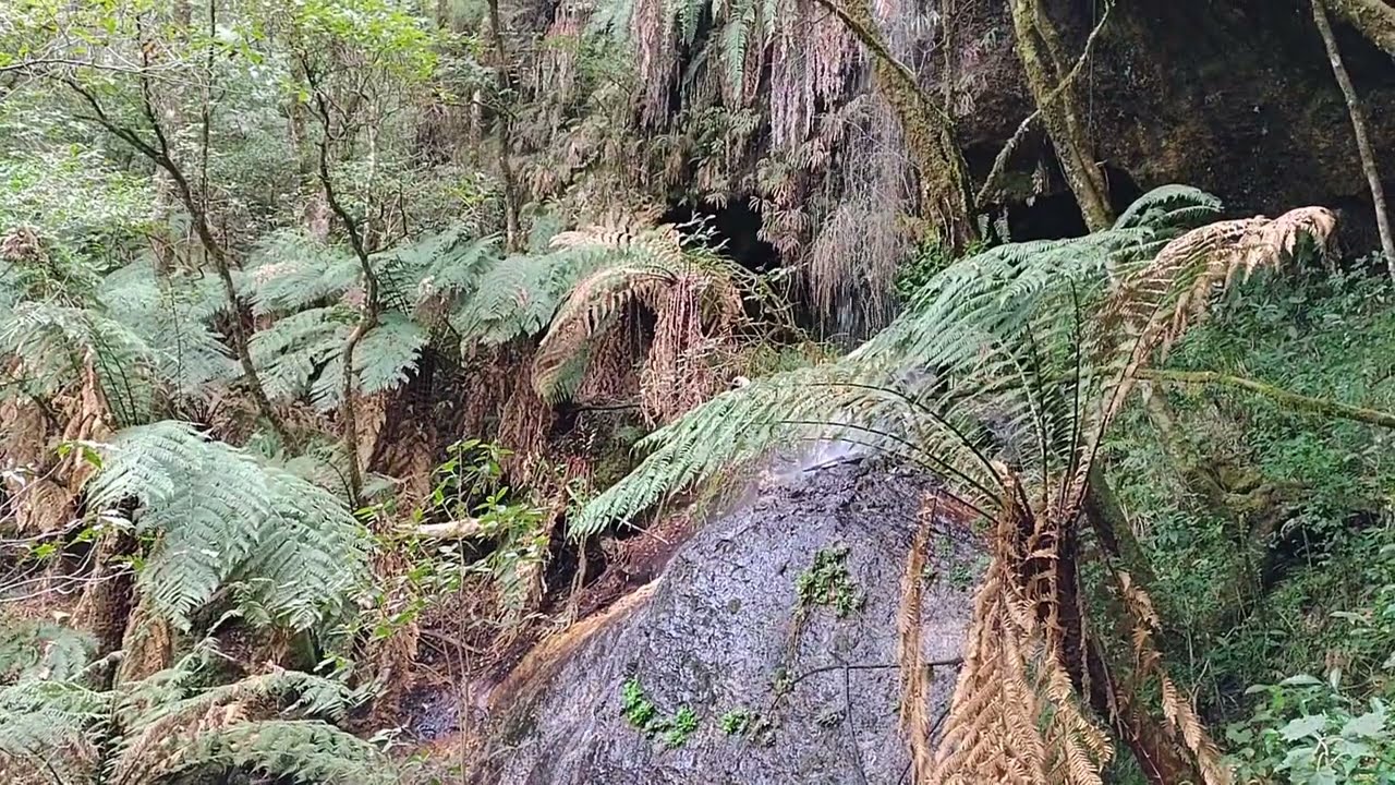 Cascada 