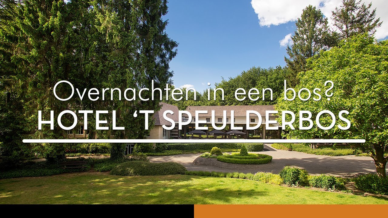 Overnachten midden in het oudste bos van Nederland