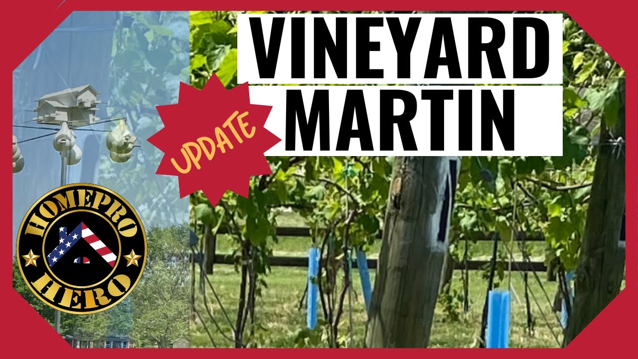 Vineyard and Purple Martin Check-Up: A Comprehensive Guide to Maintenance