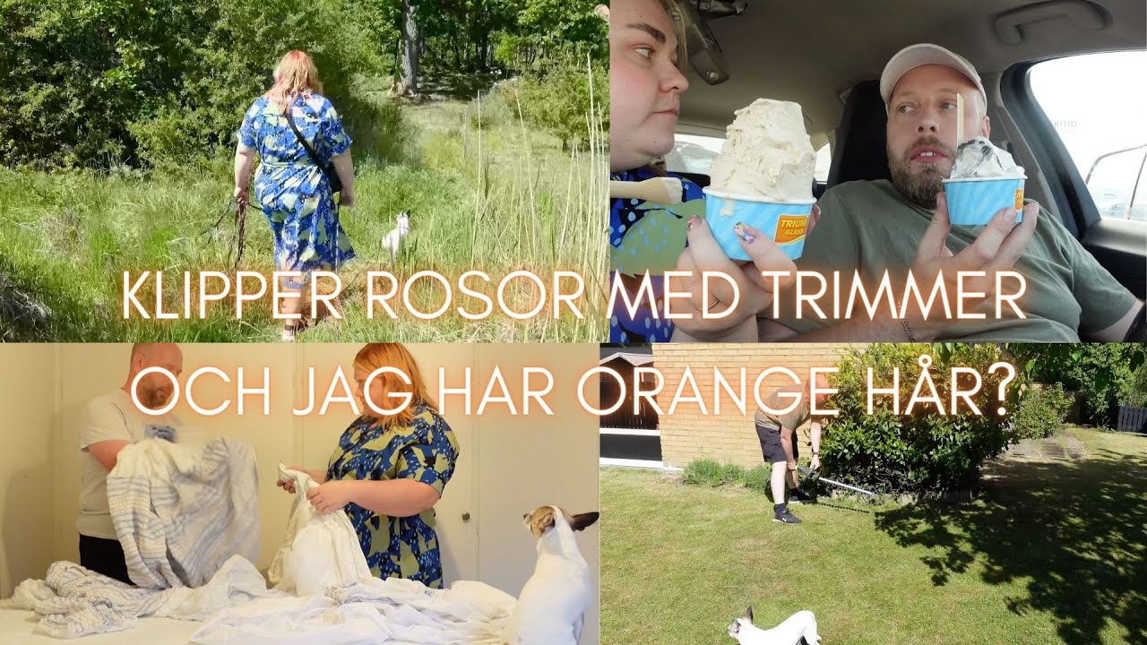 GJORT OM VARDAGSRUMMET OCH NÅGON ÄR INNE PÅ GÅRDEN OCH SNOR SAKER 😡 Vlogg