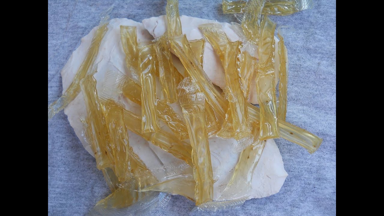 Making Fish (Air Bladder) Glue