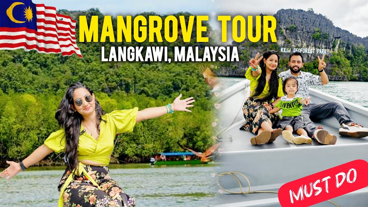 Langkawi Mangrove Tour 2026 | Langkawi Island Tour Day 2 | Must Do Activity in Langkawi | Malaysia 