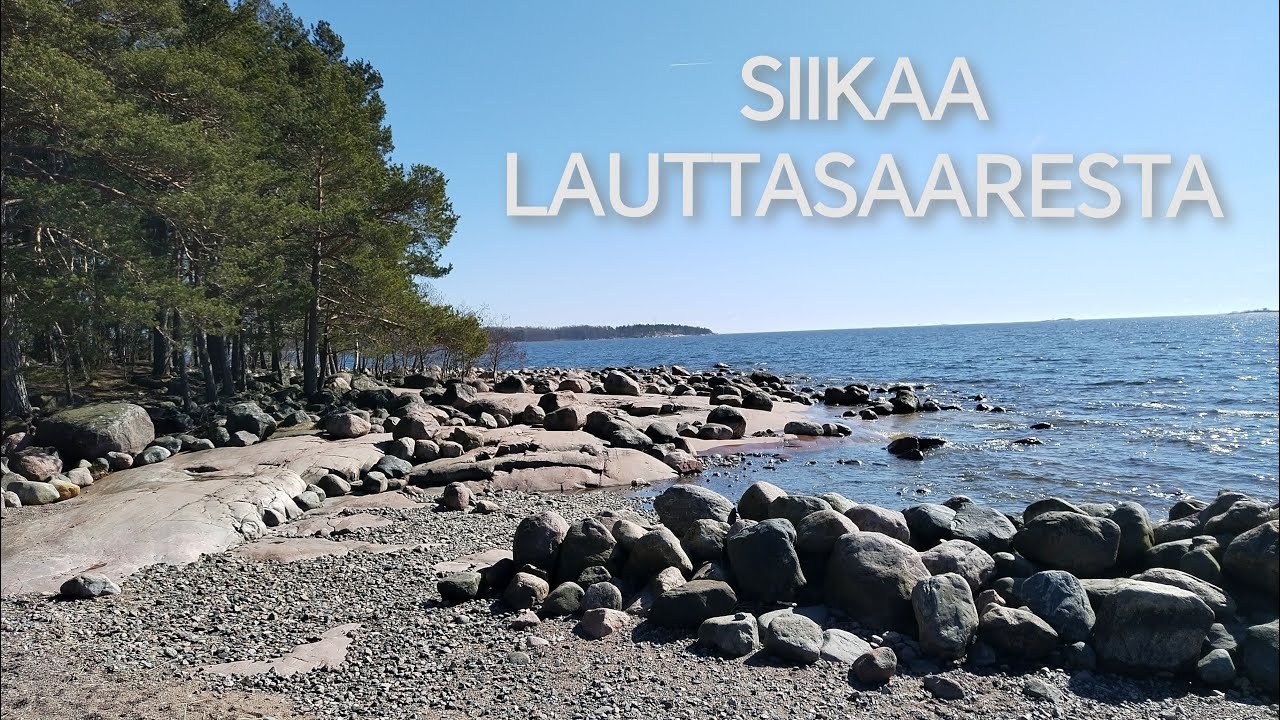 Siikaa Lauttasaaresta