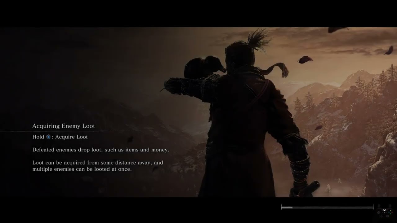 Sekiro - Immortal Severance Ending AP1 DB+Charmless sword only no skills no hit