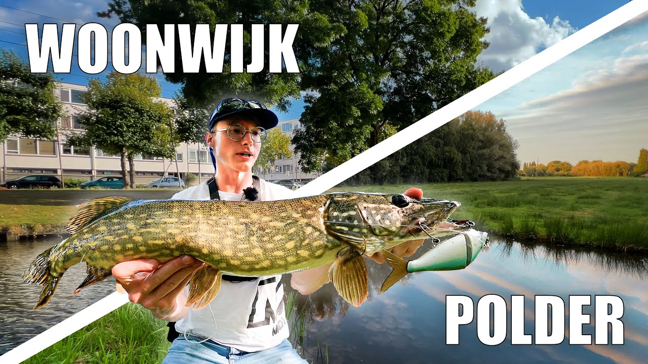 SNOEKEN in de Stad & Polder!