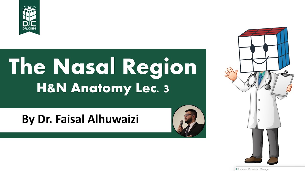 The Nasal Region (H&N Anatomy Lec.3)