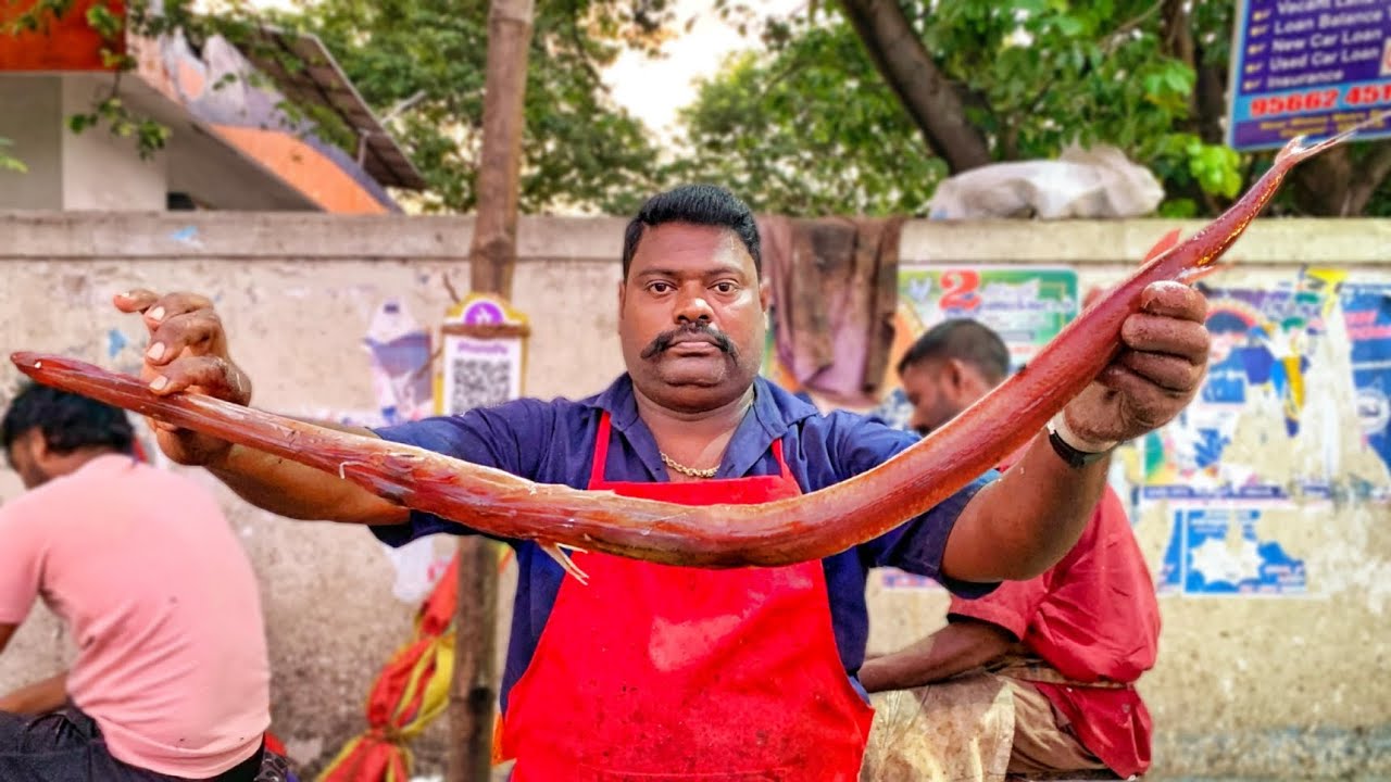 KASIMEDU 🔥 SPEED SELVAM | HUGE THUMBI FISH CUTTING VIDEO | 4K VIDEO | KM FISH CUTTING