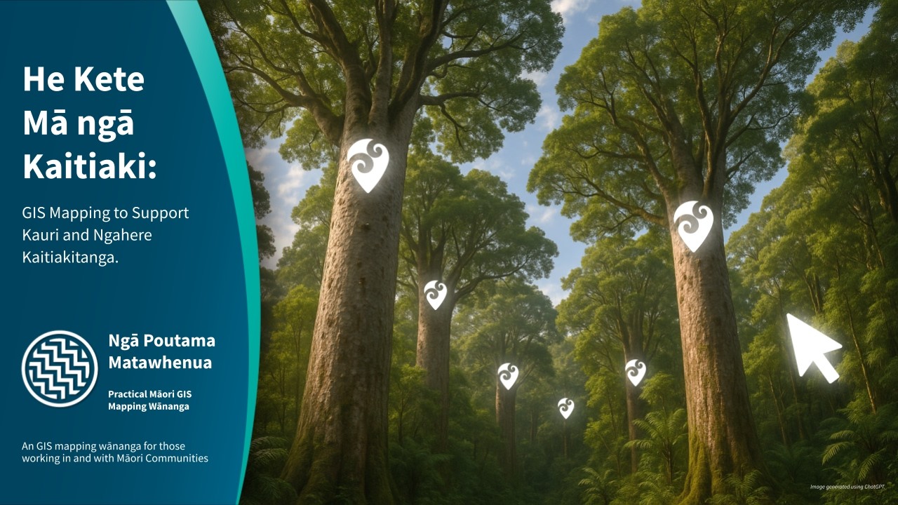 Кете Арони: ГИС-карты в поддержку Каури и здоровья лесов