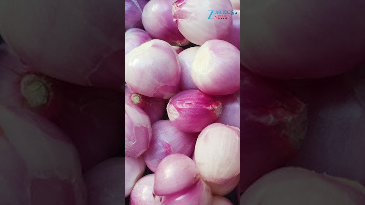#shorts ചെറിയ ഉള്ളിക്ക് വില കിലോഗ്രാമിന് 100 രൂപയായി #shallot