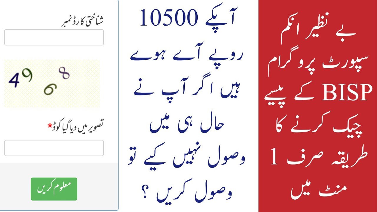 8171 check online 2024 || BISP 8171 result check online by cnic || BISP 8171 balance check