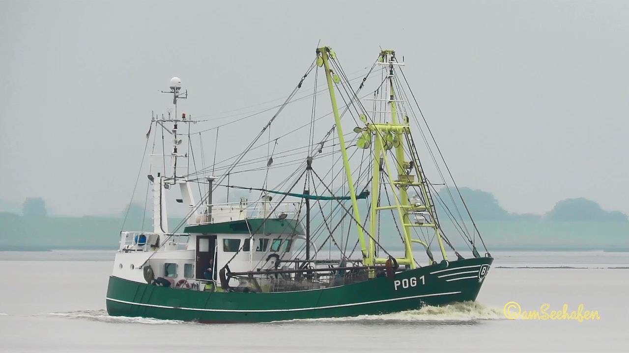 JAN POG1 DQQH MMSI 211590000 shrimp trawler Kutter Emden fishery vessel Dollart Emsrevier Unterems