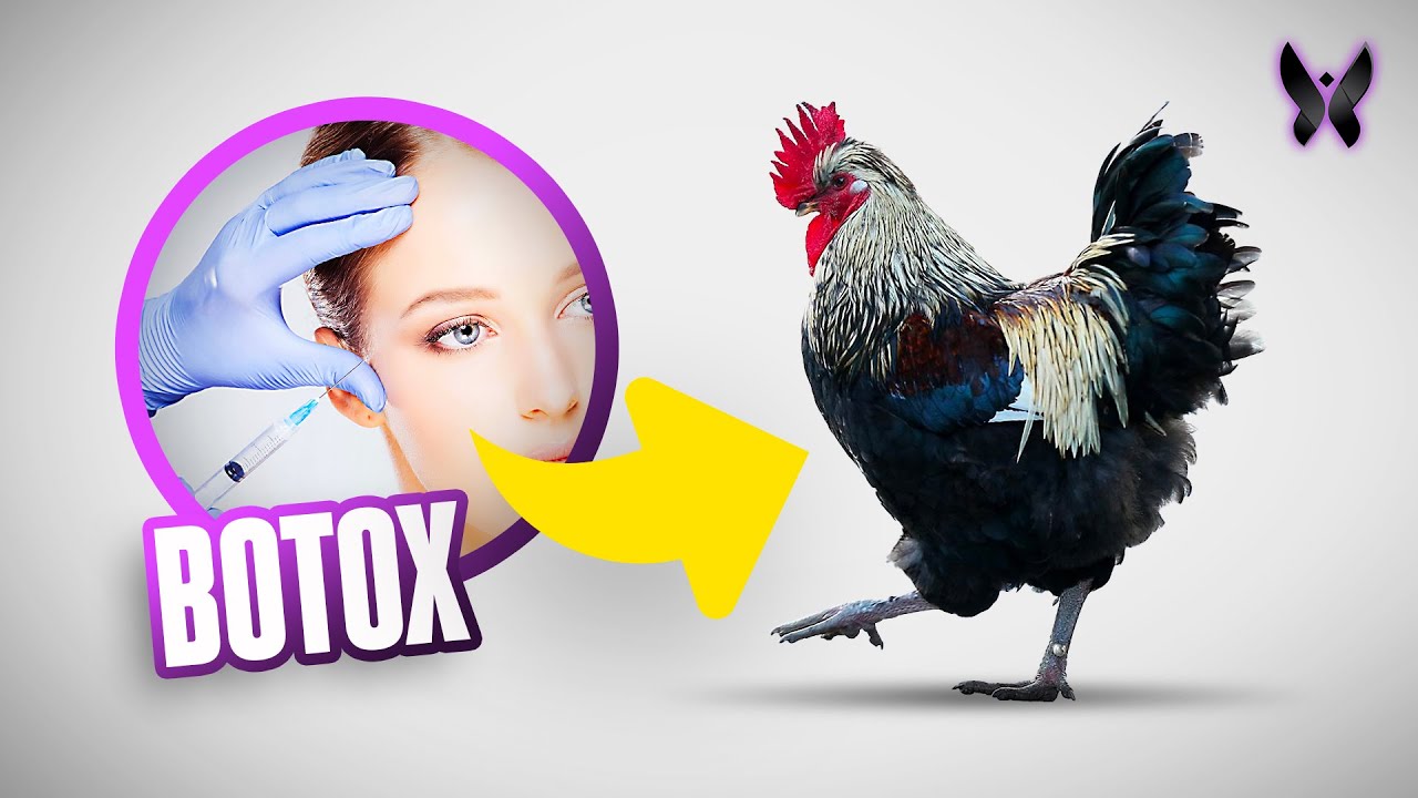 Can Botox Help Erectile Dysfunction? Stephanie Wolff From The Novus Center Explains