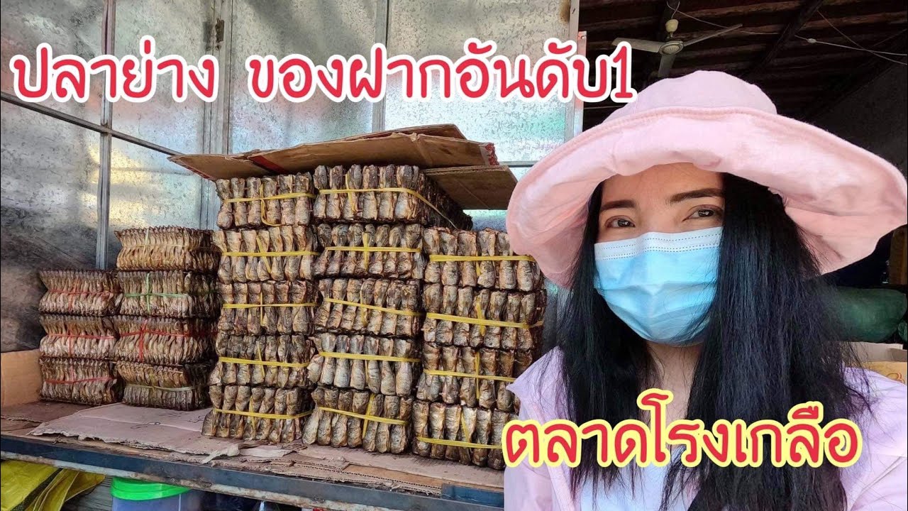 Ep161 ปลาย่าง ของฝากอันดับ1 ตลาดโรงเกลือ