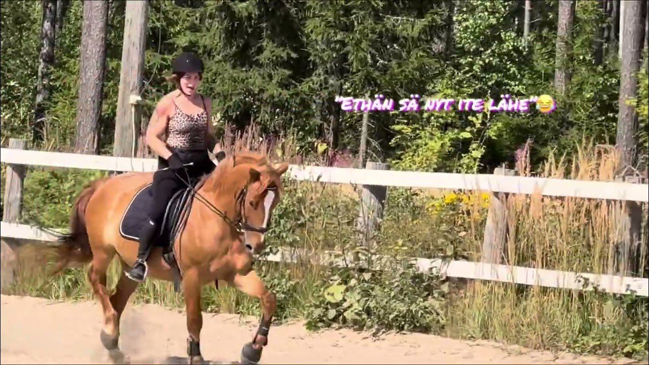 Hipon kanssa humputtelua ja uuden satulan testaus 