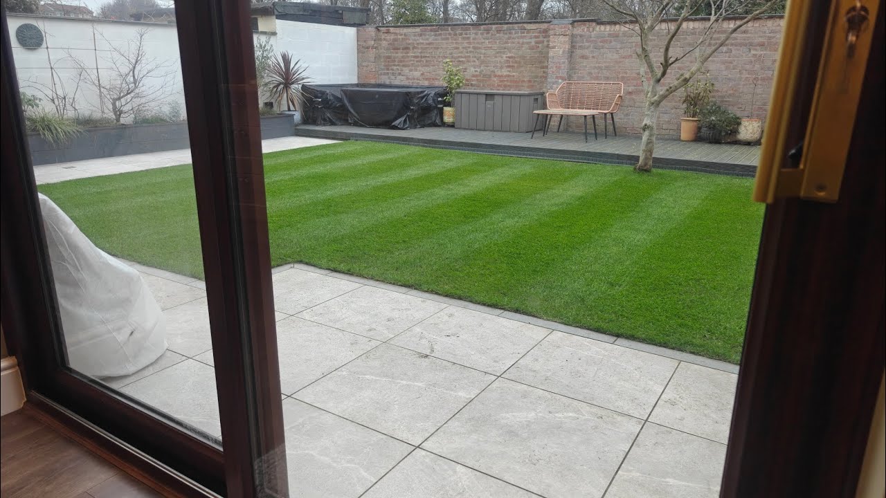 1st Winter for Poa lawn. 