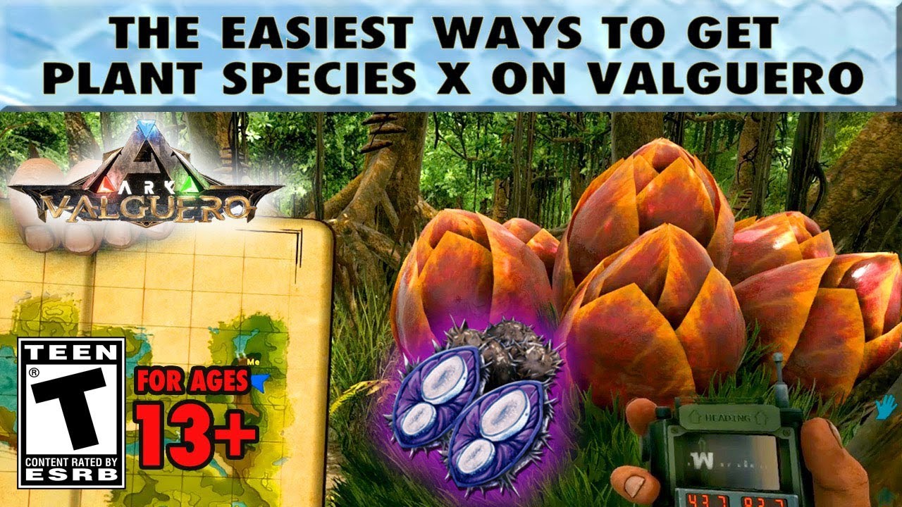 Easy Plant Species X Seeds on Valguero