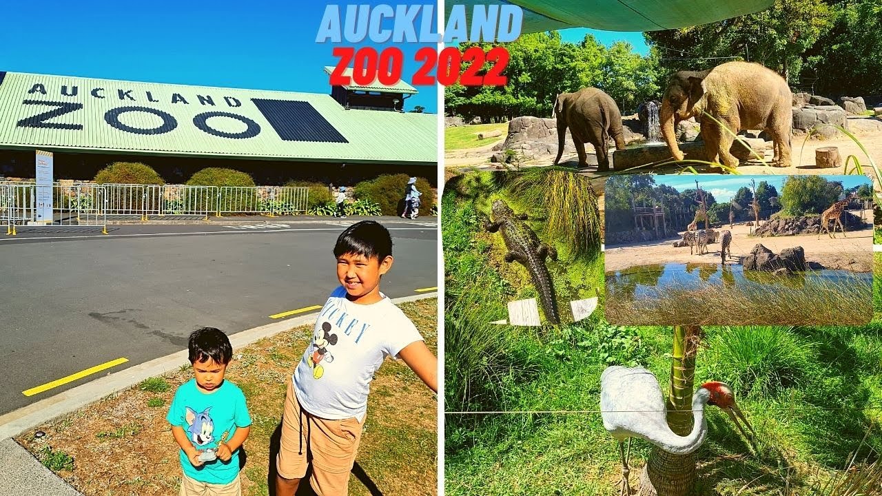 Auckland Zoo 2022