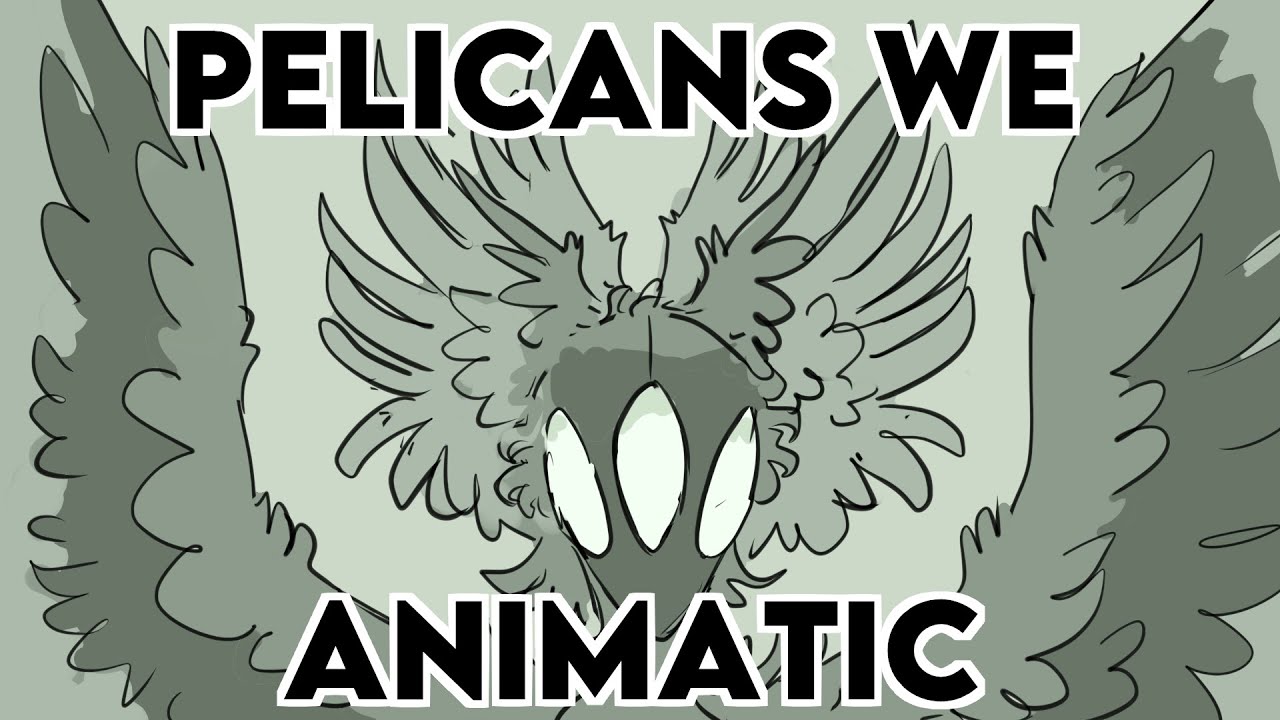PELICANS WE - Original character animatic / PMV