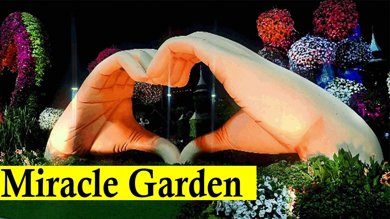 Miracle Garden | Dubai Travel | Dubai TOUR | Dubai Tourist Places
