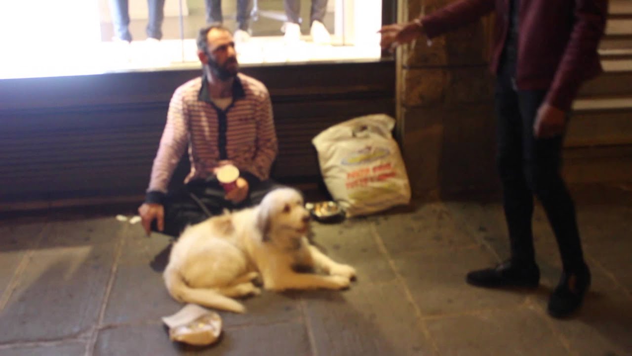 Ce SDF et son chien ne s'attendaient pas à ça...