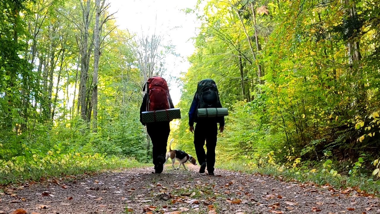 Höstvandring på Omberg med Beagle & Sambo - Övernattning på Östgötaleden - Omberg Runt
